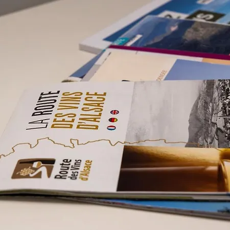 De Prestige - Neuf - Parking - Equipe 公寓 Oberhaslach